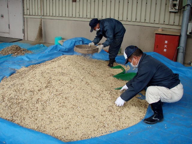 収穫した大豆を乾燥し、さや屑等の異物を取り除きます